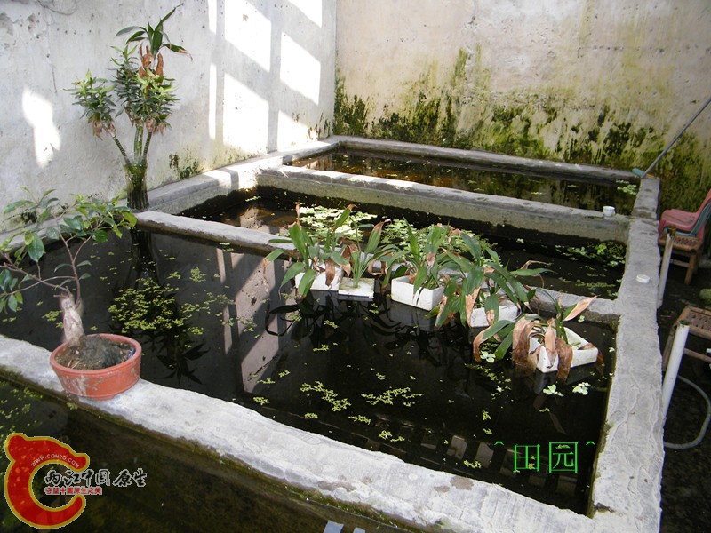 DSCF3617_副本.jpg