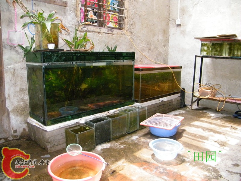 DSCF3642_副本.jpg