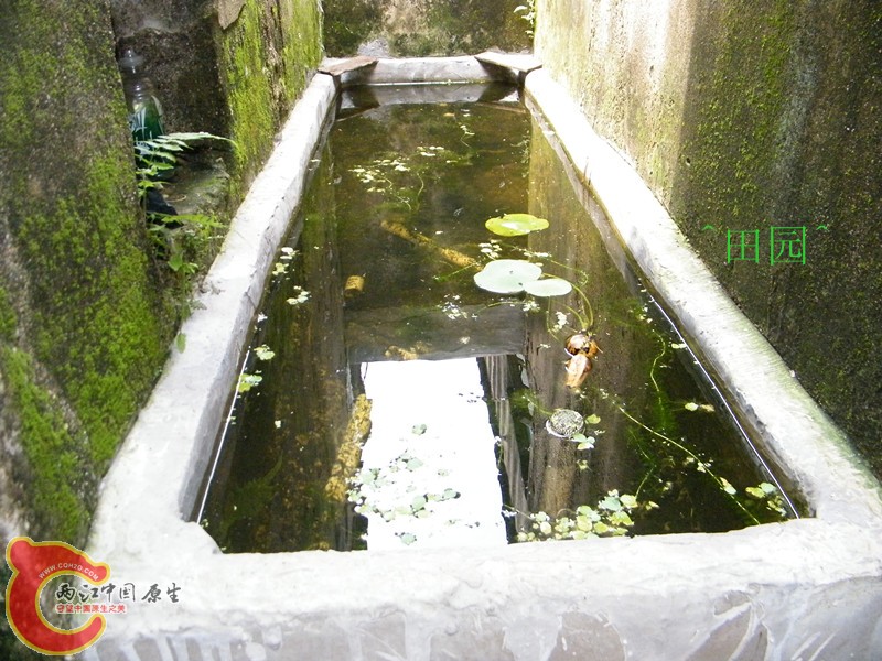 DSCF3646_副本.jpg