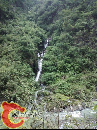 康家5.jpg