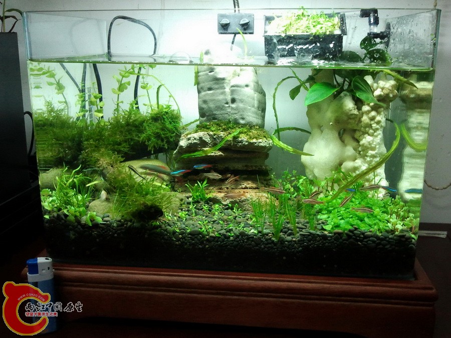 2012-05-06 19.50.13.jpg