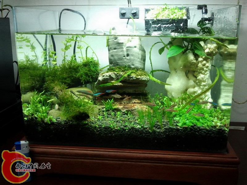 2012-05-06 19.50.13.jpg