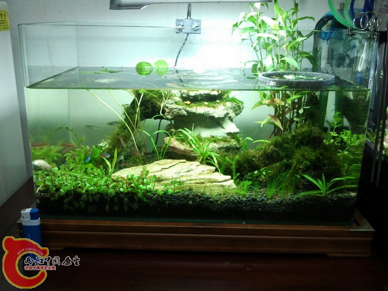 2012-05-06 19.51.12.jpg