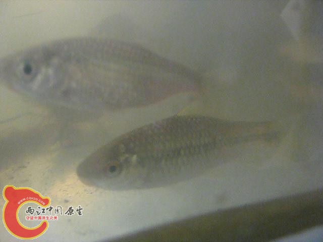 暴风截图201242117749812.jpg