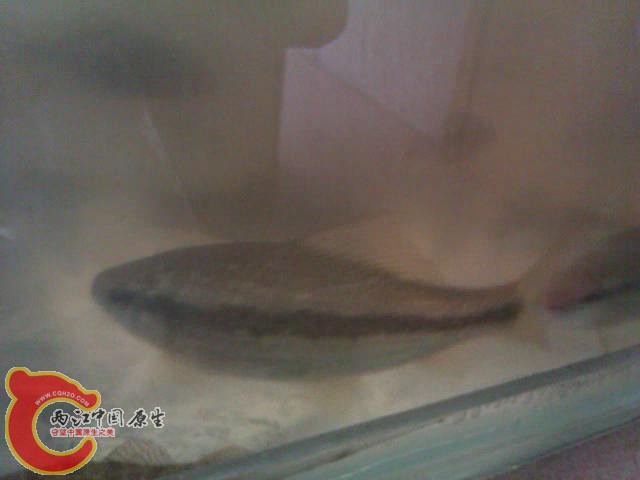 暴风截图20125649077984.jpg