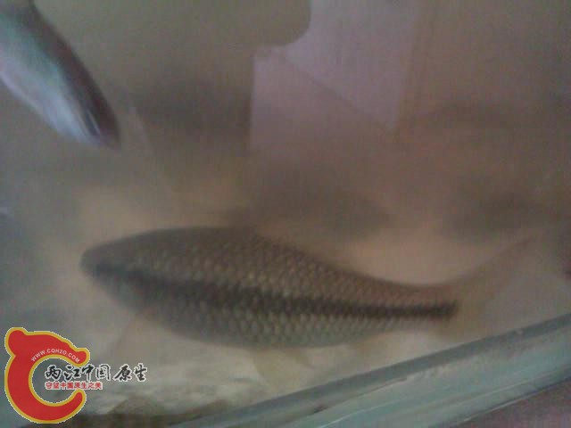 暴风截图20125649480109.jpg