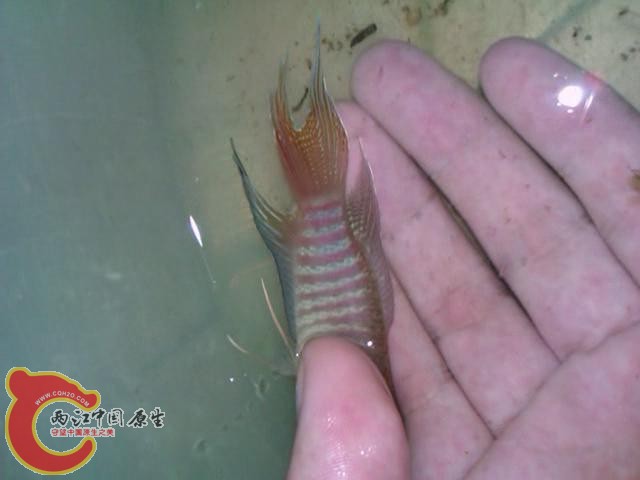 暴风截图20125648914265.jpg