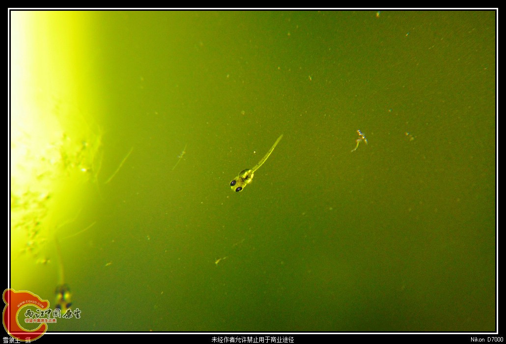 DSC_9578_副本.jpg