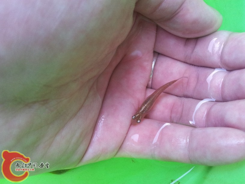 2012-05-03 14.07.15.jpg