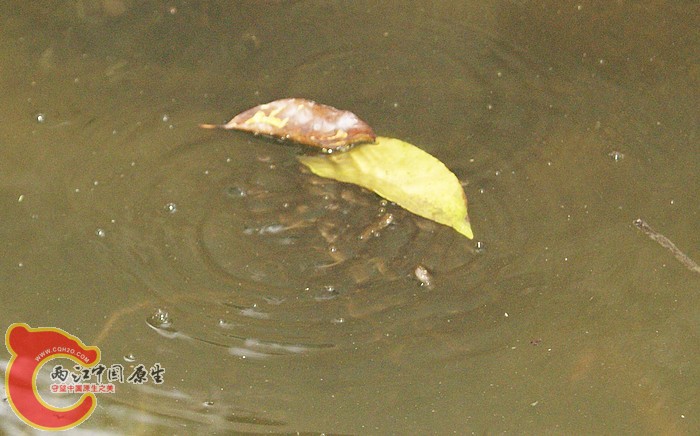 03.jpg