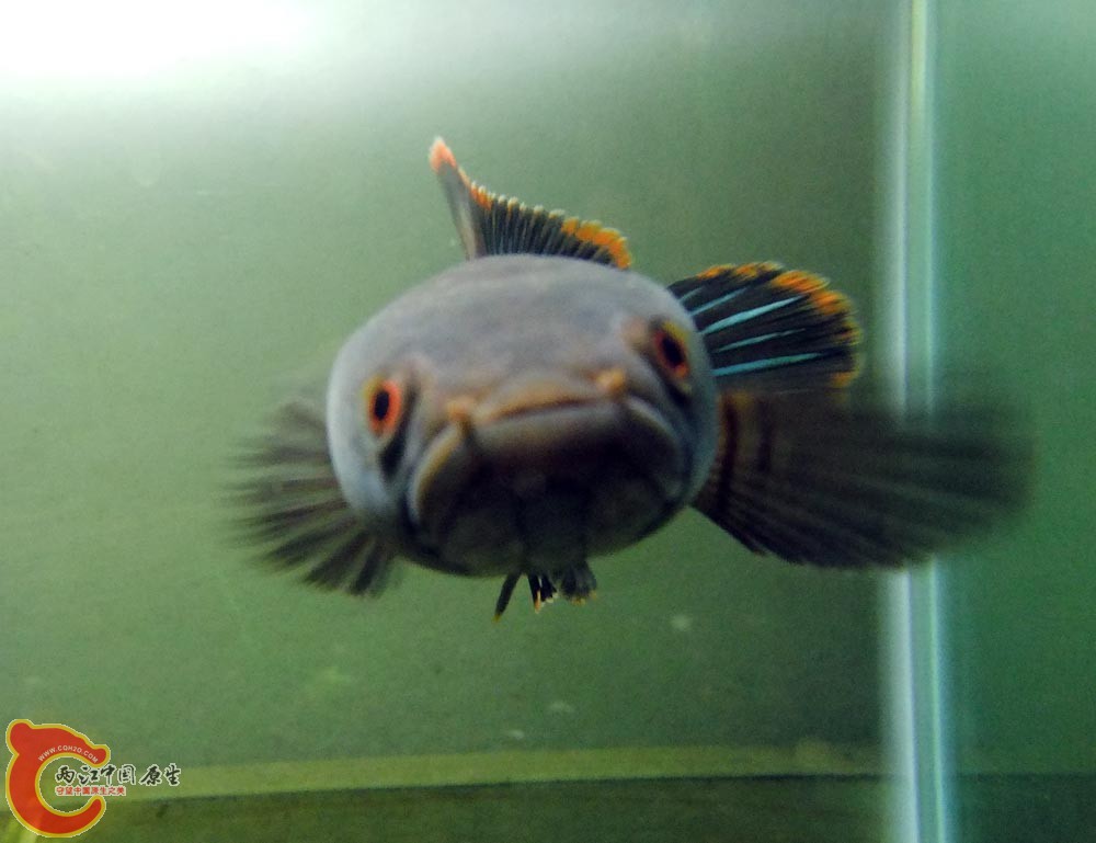 DSCF9142.jpg