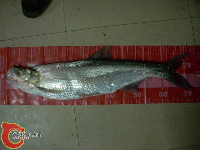 DSCN1521_调整大小.JPG