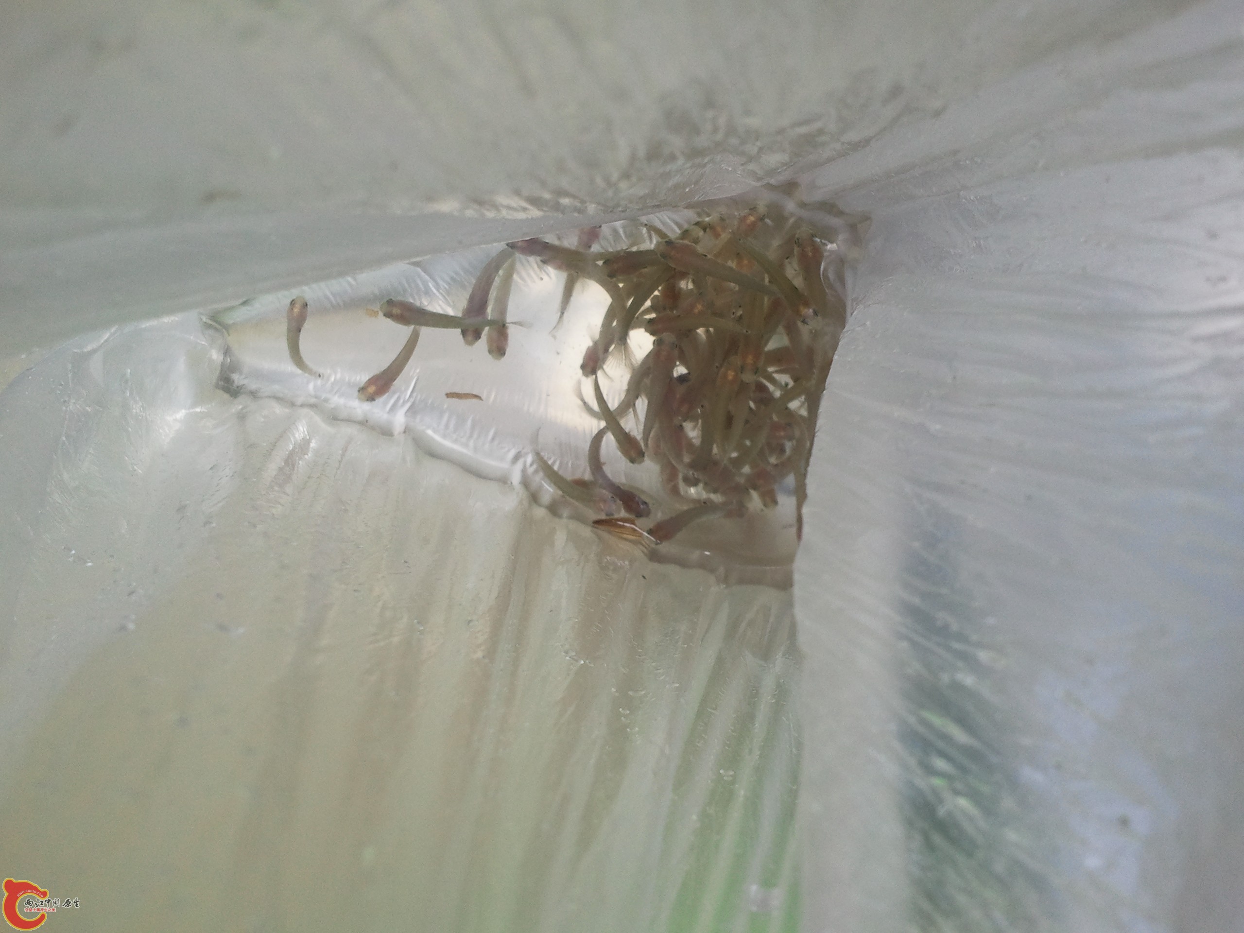 2012-05-09 11.14.14.jpg