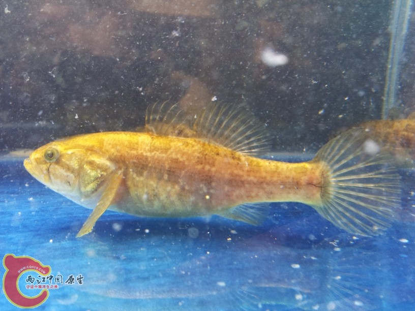 2012-05-10 14.32.38.jpg