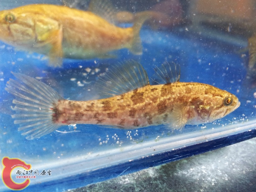 2012-05-10 14.32.54.jpg