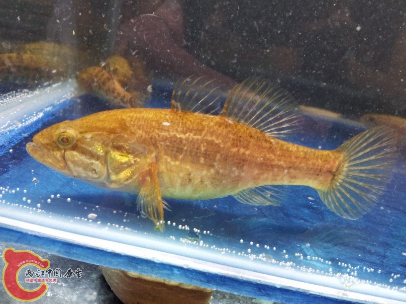 2012-05-10 14.33.12.jpg