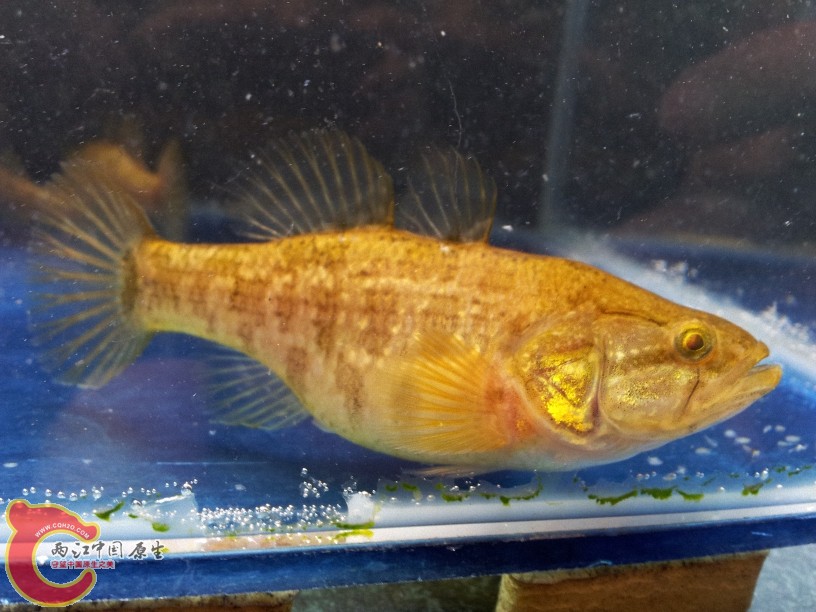 2012-05-10 14.33.56.jpg