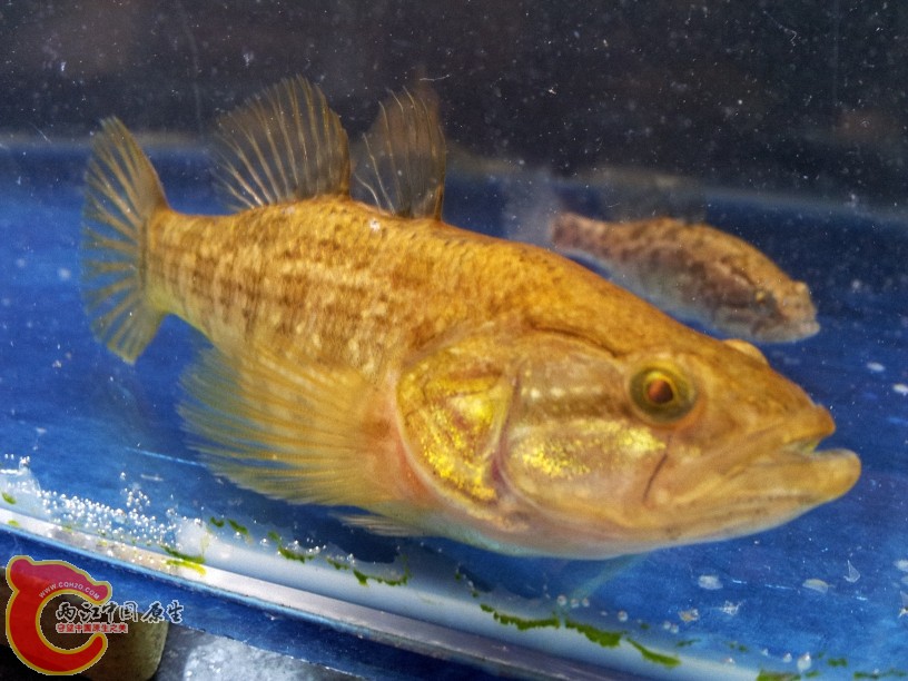 2012-05-10 14.34.15.jpg