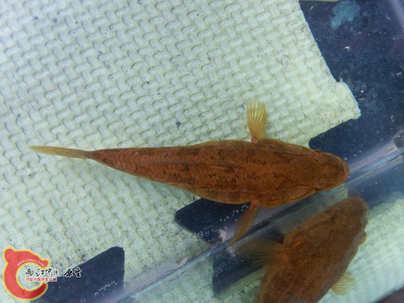 2012-05-10 14.34.37.jpg