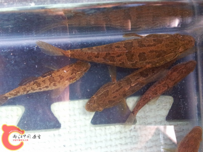 2012-05-10 14.34.53.jpg