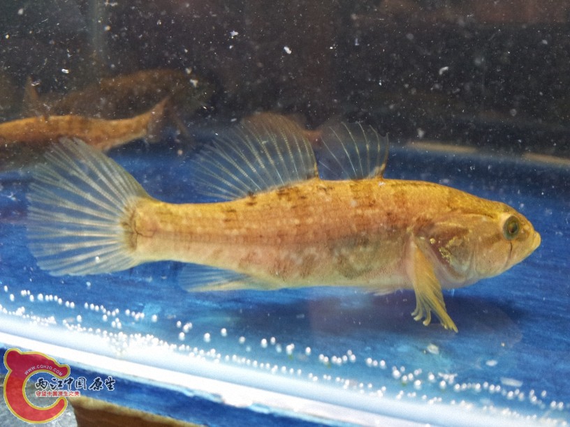 2012-05-10 14.35.33.jpg