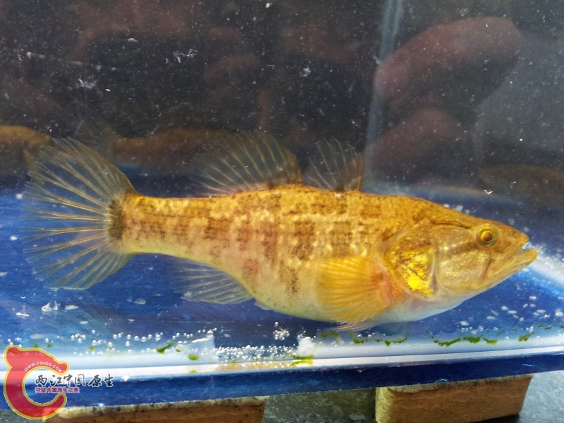 2012-05-10 14.35.50.jpg