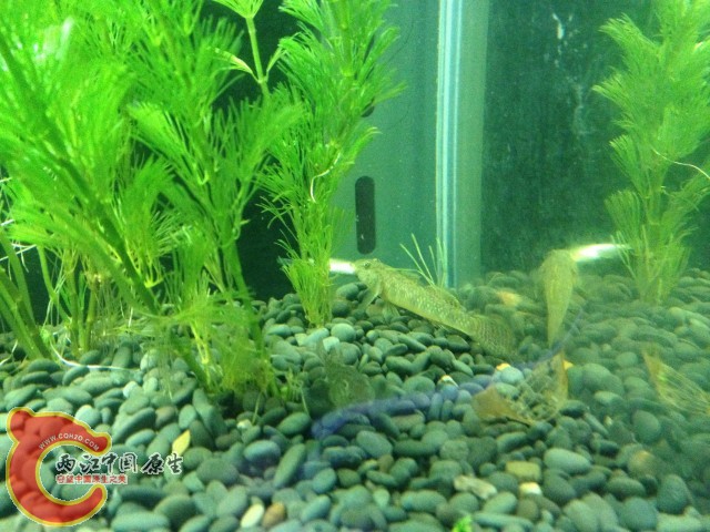 IMG_0773.jpg