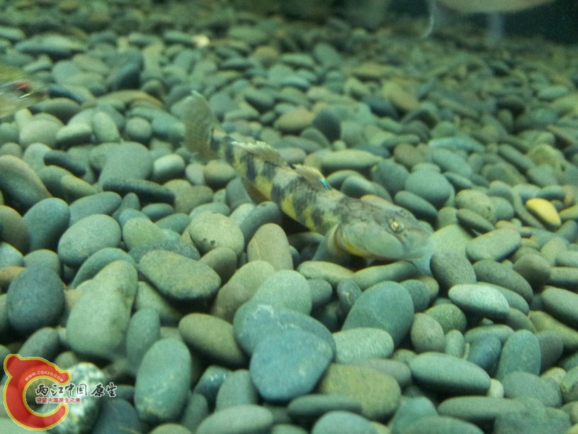 2012-05-07 14.32.03.jpg