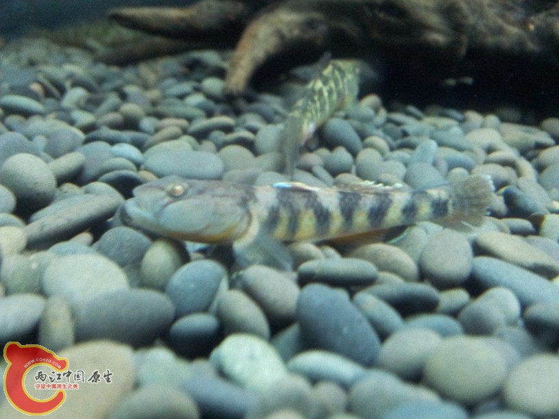 2012-05-07 14.32.25.jpg