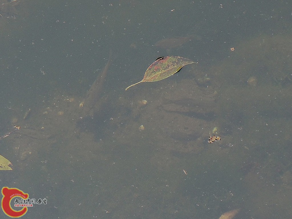 dscn8459_副本.jpg
