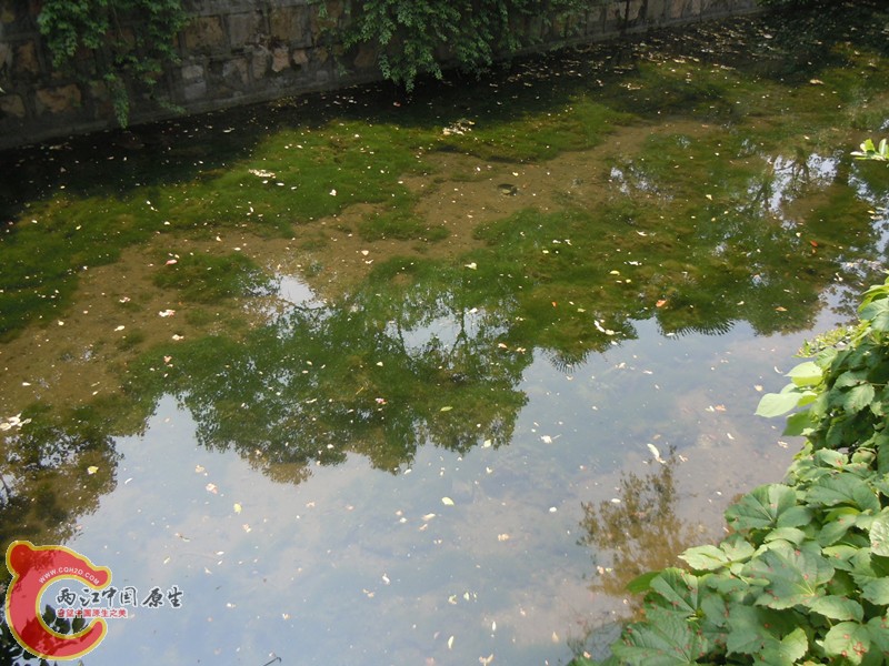 dscn8469_副本.jpg