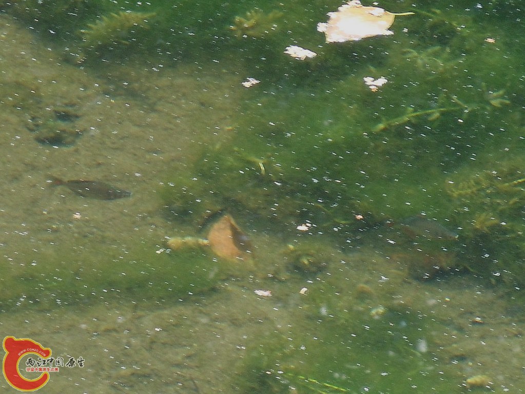 dscn8477_副本.jpg