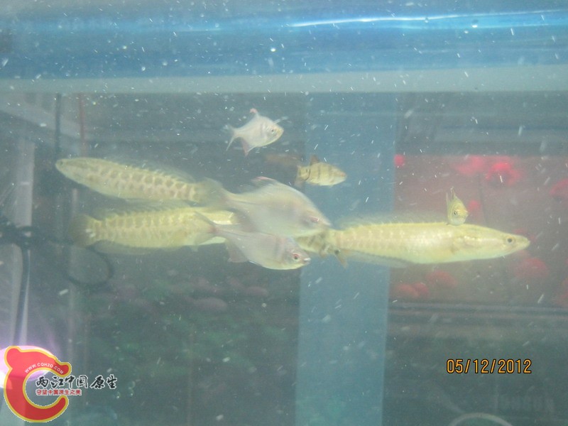 IMG_2690.JPG