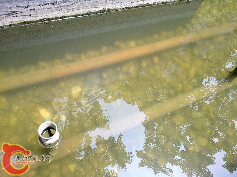 20120511132.jpg