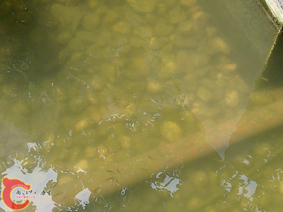 20120511137.jpg