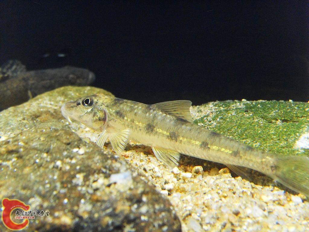 SDC12209.JPG