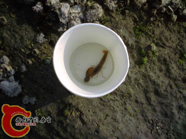 large_XvR4_6o198114.jpg large_XvR4_6o198114.jpg