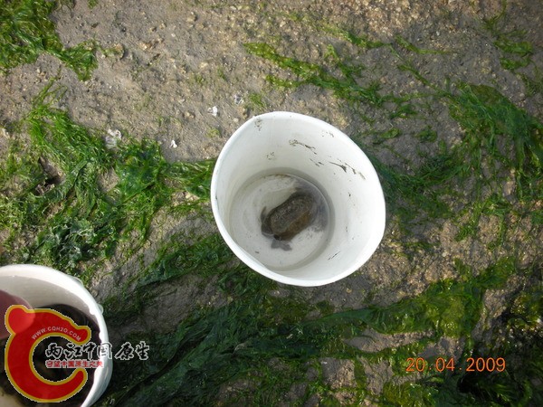 p_large_6Cwk_8609n206100.jpg p_large_6Cwk_8609n206100.jpg