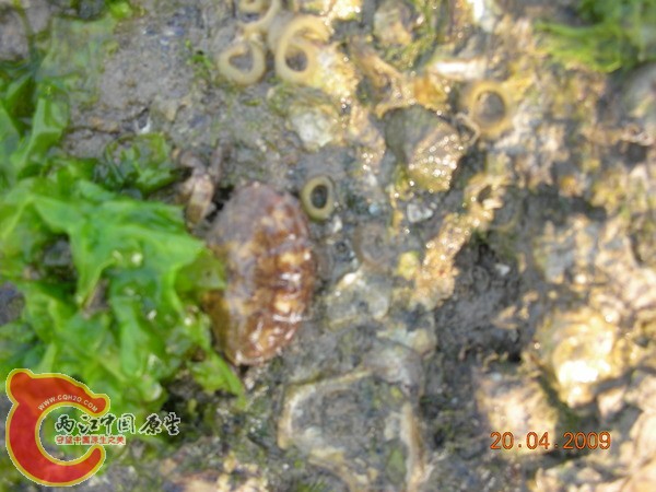 p_large_6nl1_8506f206100.jpg p_large_6nl1_8506f206100.jpg