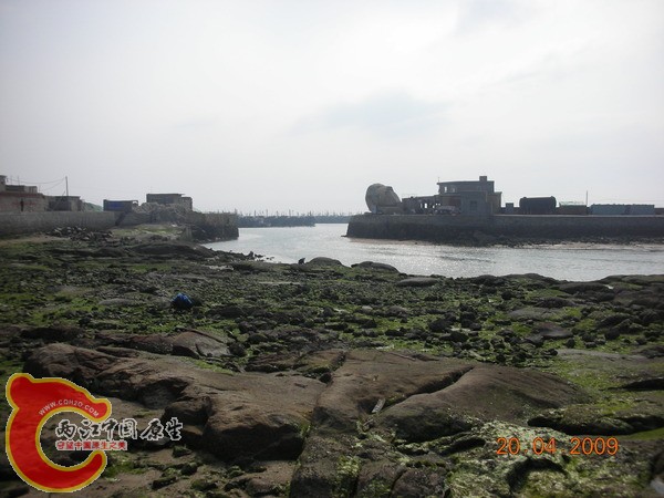 岩石滩涂 挖螺人带橡胶手套 我徒手作业 岩石滩涂 挖螺人带橡胶手套 我徒手作业