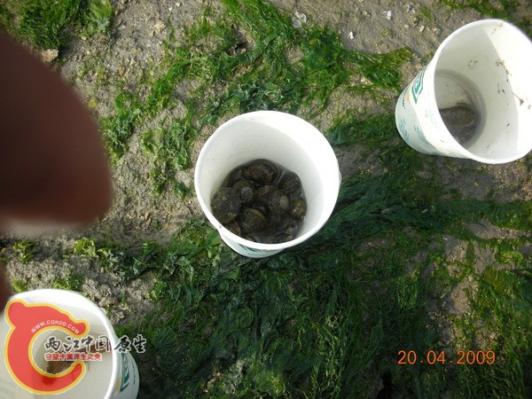 分门别类 分门别类