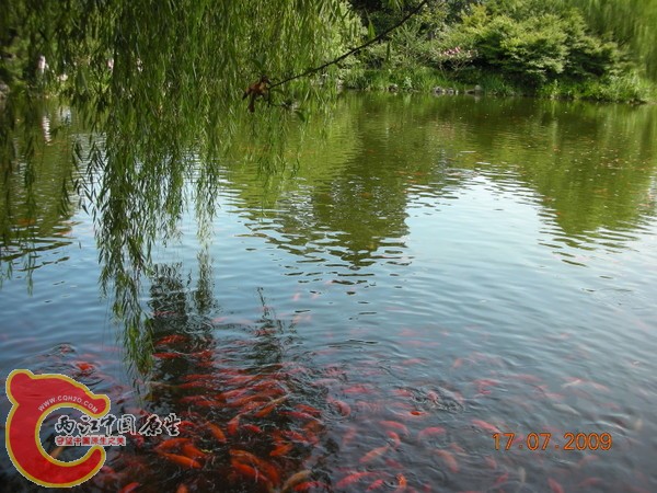 p_large_4DPX_11273p017012.jpg