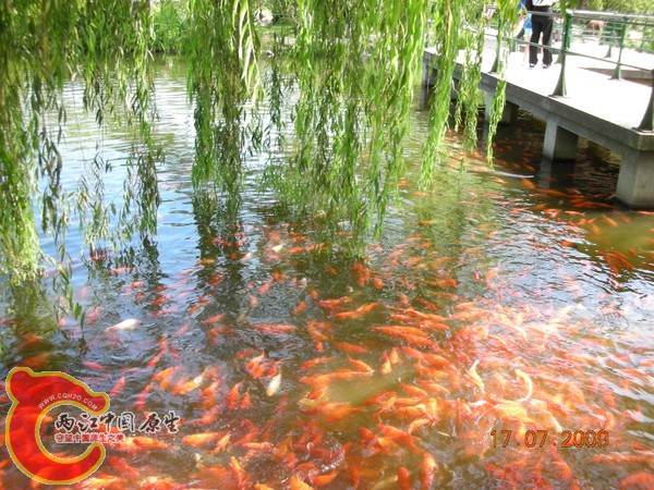 p_large_Cqgx_35729h017020.jpg