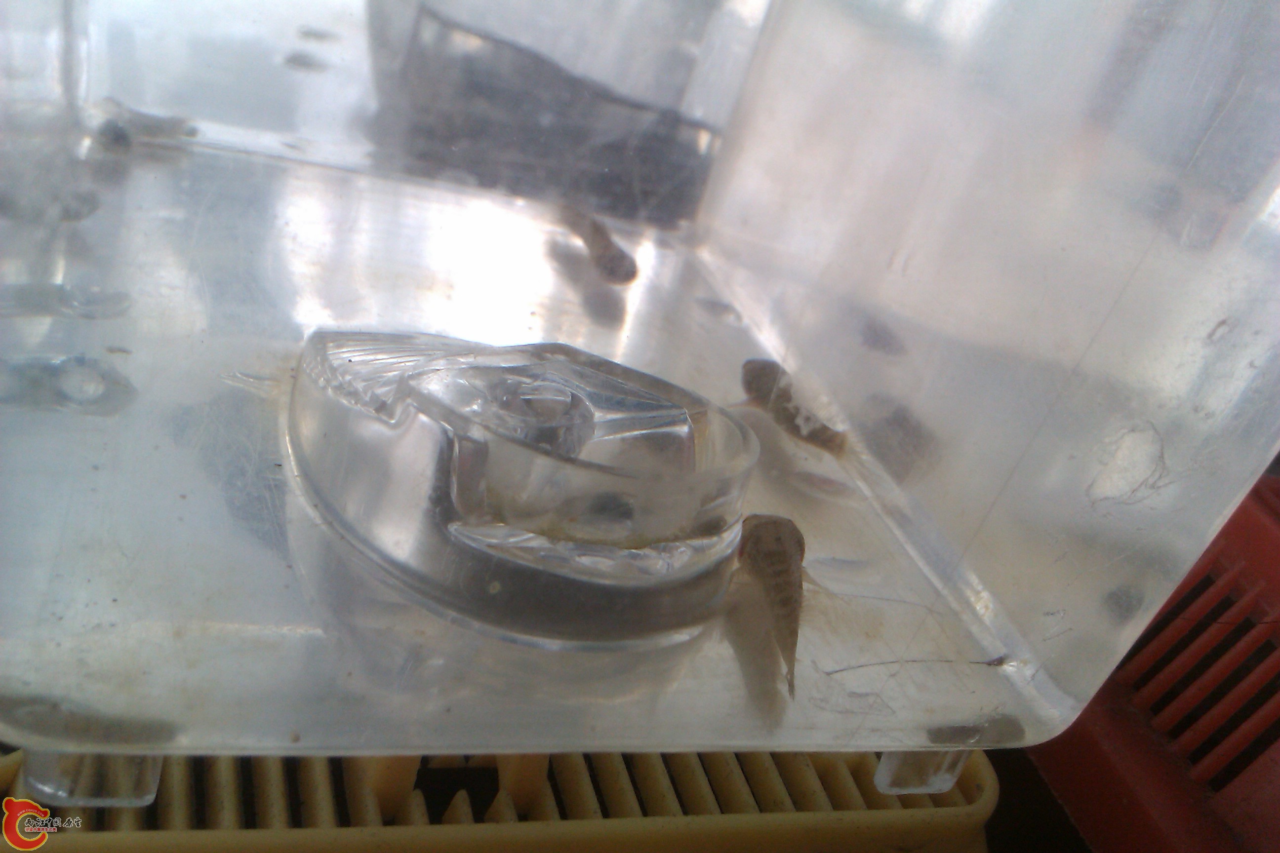 IMAG0380.jpg