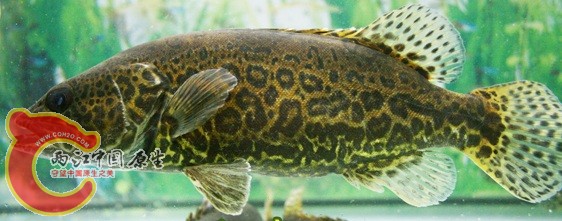 2010102611324840048.jpg