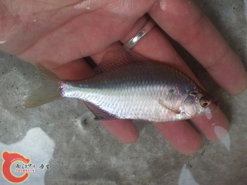 2012-05-10 11.10.49.jpg