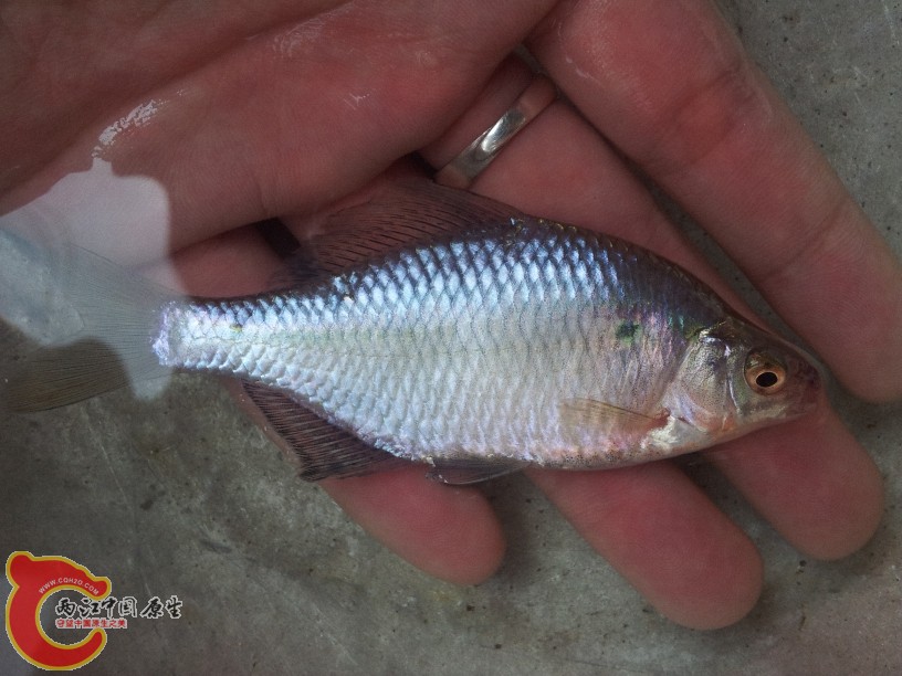 2012-05-10 11.11.00.jpg