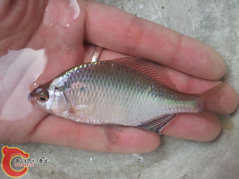 2012-05-10 11.11.18.jpg