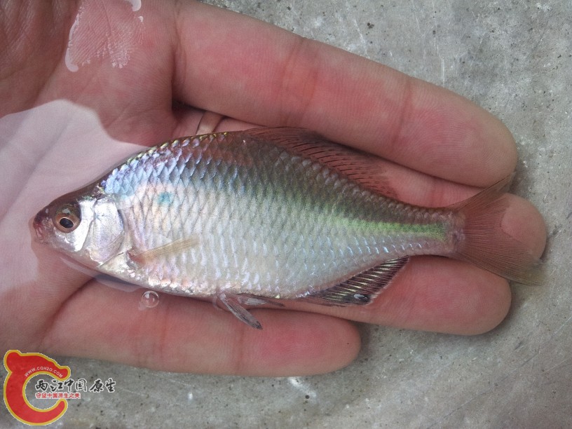 2012-05-10 11.11.25.jpg