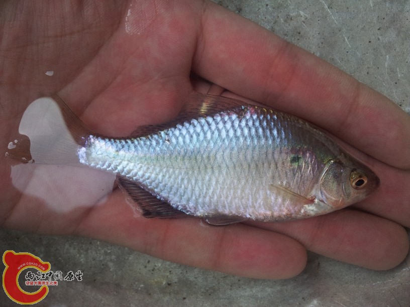 2012-05-10 11.11.47.jpg